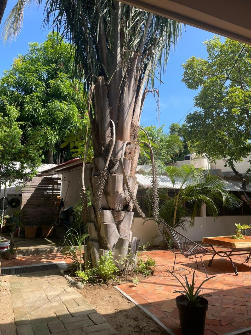 Casa Sixta A 7Min Del Aeropuerto Internacional Pmx Y 2 Cuadras Terminal Autob Ado Hotel Puerto Escondido  Bagian luar foto